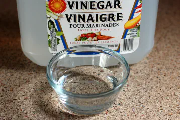 Does Vinegar Get Rid of Cat Urine Smell